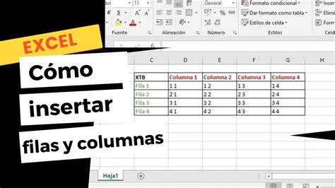 comando para insertar filas en excel|Insertar con el teclado filas columnas y rangos